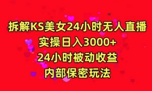利用快手24小时无人美女直播,实操日入3000,24小时被动收益,内部保密玩法【揭秘】-网赚资源网