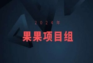 2024年果果项目组项目合集-果果最新项目-网赚资源网