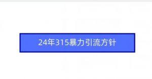 24年315暴力引流方针-网赚资源网