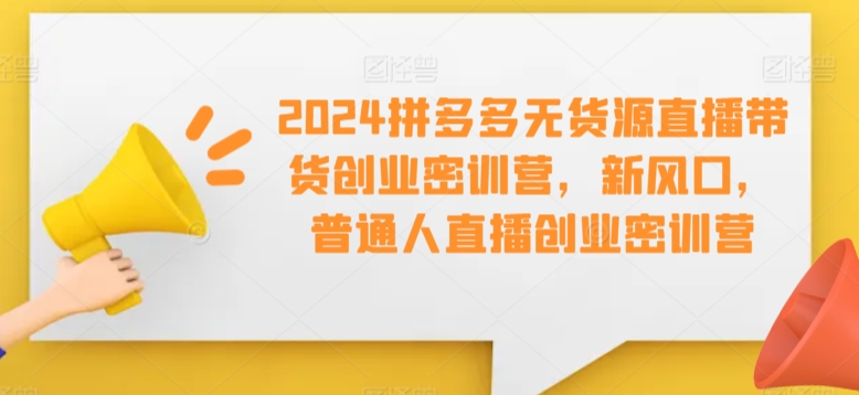 2024拼多多无货源直播带货创业密训营，新风口，普通人直播创业密训营 - 网赚资源网-网赚资源网
