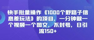 快手批量操作《1000个野路子信息差玩法》的项目,一分钟做一个视频一个图文,不封号,日引流150+【揭秘】-网赚资源网