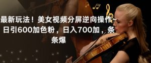 最新玩法！美女视频分屏逆向操作~日引600加色粉，日入700加，条条爆【揭秘】-网赚资源网