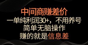 中间商赚差价，一单纯利润30+，简单无脑操作，赚的就是信息差，轻轻松松日入1000+【揭秘】-网赚资源网