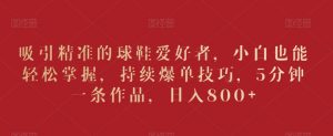 吸引精准的球鞋爱好者,小白也能轻松掌握,持续爆单技巧,5分钟一条作品,日入800+【揭秘】-网赚资源网