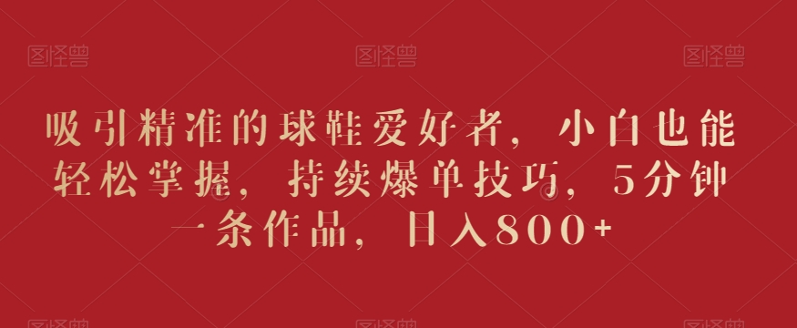 吸引精准的球鞋爱好者，小白也能轻松掌握，持续爆单技巧，5分钟一条作品，日入800+【揭秘】 - 网赚资源网-网赚资源网