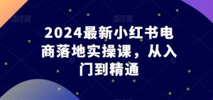2024最新小红书电商落地实操课，从入门到精通-网赚资源网