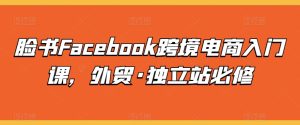 脸书Facebook跨境电商入门课，外贸·独立站必修 - 网赚资源网-网赚资源网