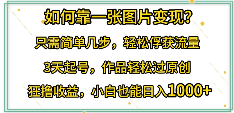 如何靠一张图片变现?只需简单几步，轻松俘获流量，3天起号，作品轻松过原创【揭秘】 - 网赚资源网-网赚资源网