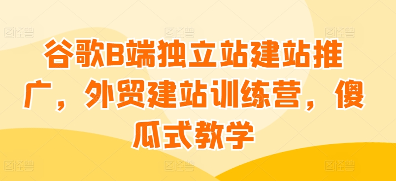 谷歌B端独立站建站推广，外贸建站训练营，傻瓜式教学 - 网赚资源网-网赚资源网