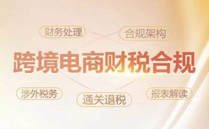 跨境老板财税合规特训营，规避财税风险、提升企业利润-网赚资源网
