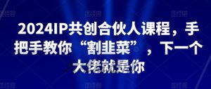 2024IP共创合伙人课程,手把手教你“割韭菜”,下一个大佬就是你-网赚资源网