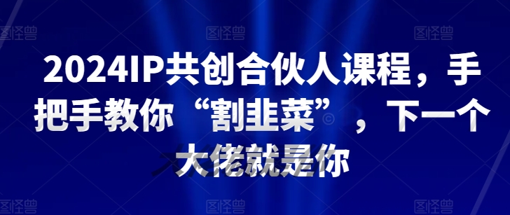 2024IP共创合伙人课程，手把手教你“割韭菜”，下一个大佬就是你 - 网赚资源网-网赚资源网
