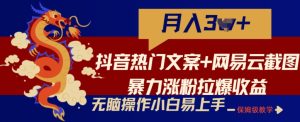 抖音热门文案+网易云截图暴力涨粉拉爆收益玩法,小白无脑操作,简单易上手【揭秘】-网赚资源网