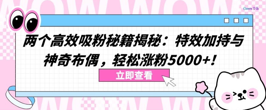 两个高效吸粉秘籍揭秘：特效加持与神奇布偶，轻松涨粉5000+【揭秘】 - 网赚资源网-网赚资源网