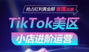 TikTok Shop美区小店进阶运营，抢占红利黄金期 嘎嘎出单-网赚资源网