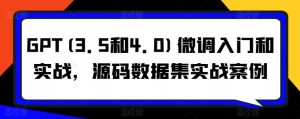 GPT(3.5和4.0)微调入门和实战,源码数据集实战案例-网赚资源网