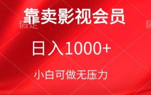 靠卖影视会员，日入1000+，落地保姆级教程，新手可学【揭秘】-网赚资源网