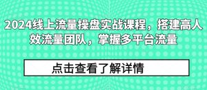 2024线上流量操盘实战课程，搭建高人效流量团队，掌握多平台流量-网赚资源网