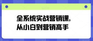 全系统实战营销课,从小白到营销高手-网赚资源网