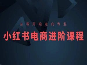从零开始走向专业,小红书电商进阶课程-网赚资源网