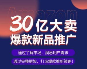 亚马逊·30亿大卖爆款新品推广,可复制、全程案例实操的爆款推新SOP-网赚资源网