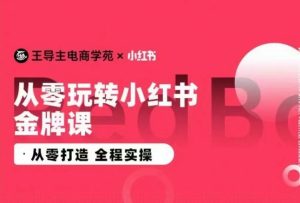王导主·小红书电商运营实操课,从零打造  全程实操-网赚资源网