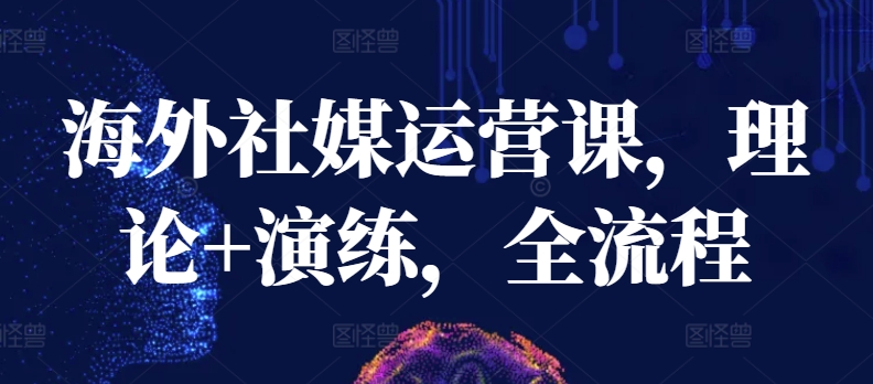 海外社媒运营课，理论+演练，全流程 - 网赚资源网-网赚资源网
