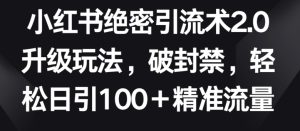 小红书绝密引流术2.0升级玩法,破封禁,轻松日引100+精准流量【揭秘】-网赚资源网