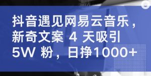 抖音遇见网易云音乐,新奇文案 4 天吸引 5W 粉,日挣1000+【揭秘】-网赚资源网
