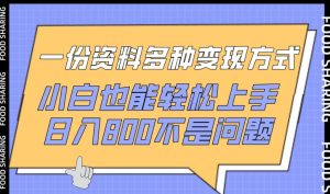 一份资料多种变现方式，小白也能轻松上手，日入800不是问题【揭秘】-网赚资源网
