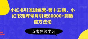 小红书引流训练营-第十五期,小红书矩阵号月引流80000+到微信方法论-网赚资源网
