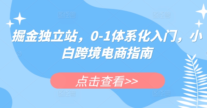 掘金独立站，0-1体系化入门，小白跨境电商指南 - 网赚资源网-网赚资源网