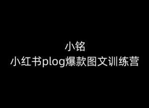 小铭-小红书plog爆款图文训练营,教你从0-1做小红书-网赚资源网