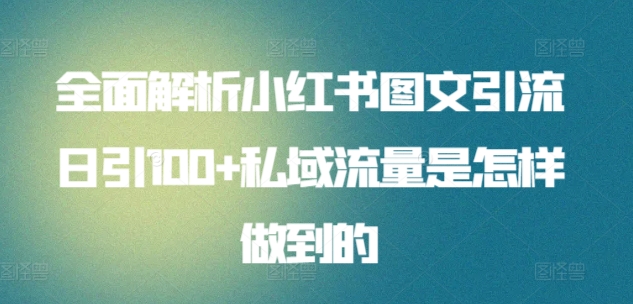 全面解析小红书图文引流日引100+私域流量是怎样做到的【揭秘】 - 网赚资源网-网赚资源网