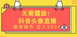 无需露脸,Ai头像直播项目,简单操作日入500+【揭秘】-网赚资源网