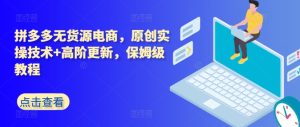 拼多多无货源电商,原创实操技术+高阶更新,保姆级教程-网赚资源网