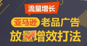 亚马逊流量增长-老品广告放量增效打法,循序渐进,打造更多TOP listing-网赚资源网