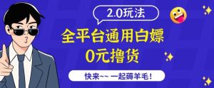 外面收费2980的全平台通用白嫖撸货项目2.0玩法【仅揭秘】-网赚资源网