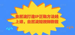 自然流打造IP正确方法线上课，自然流短视频教程-网赚资源网