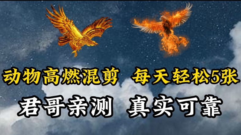 动物超燃混剪，每天轻松5张，剪辑简单大家爱看【揭秘】 - 网赚资源网-网赚资源网