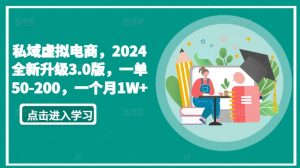 私域虚拟电商,2024全新升级3.0版,一单50-200,一个月1W+【揭秘】-网赚资源网