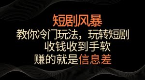 短剧风暴，教你冷门玩法，玩转短剧，收钱收到手软【揭秘】-网赚资源网