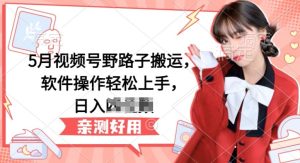 5月视频号野路子搬运,软件操作轻松上手,日入三位数【揭秘】-网赚资源网