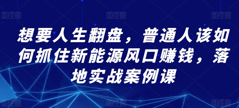 想要人生翻盘，普通人该如何抓住新能源风口赚钱，落地实战案例课 - 网赚资源网-网赚资源网