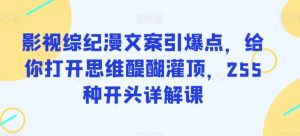 影视综纪漫文案引爆点,给你打开思维醍醐灌顶,255种开头详解课-网赚资源网