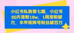 小红书私教第七期，小红书90天涨粉18w，1周涨粉破万，半年矩阵号粉丝破百万-网赚资源网