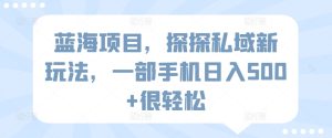 蓝海项目，探探私域新玩法，一部手机日入500+很轻松【揭秘】-网赚资源网