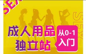 成人用品独立站从0-1入门,成品独立站运营全流程教学,七大好卖成品独立站推荐-网赚资源网