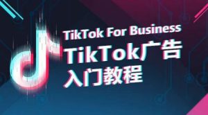 TikTok广告入门教程，从0到1掌握TikTok投放的全流程-网赚资源网