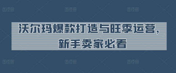 沃尔玛爆款打造与旺季运营，新手卖家必看 - 网赚资源网-网赚资源网